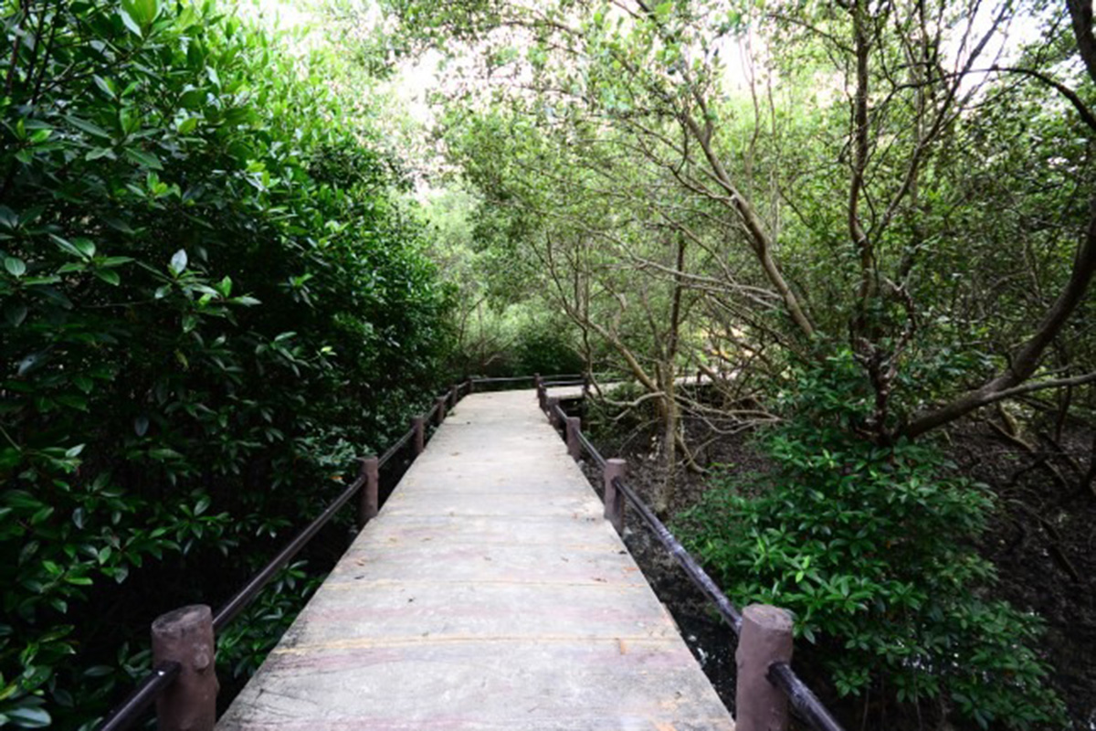 Saphan Hin - 002